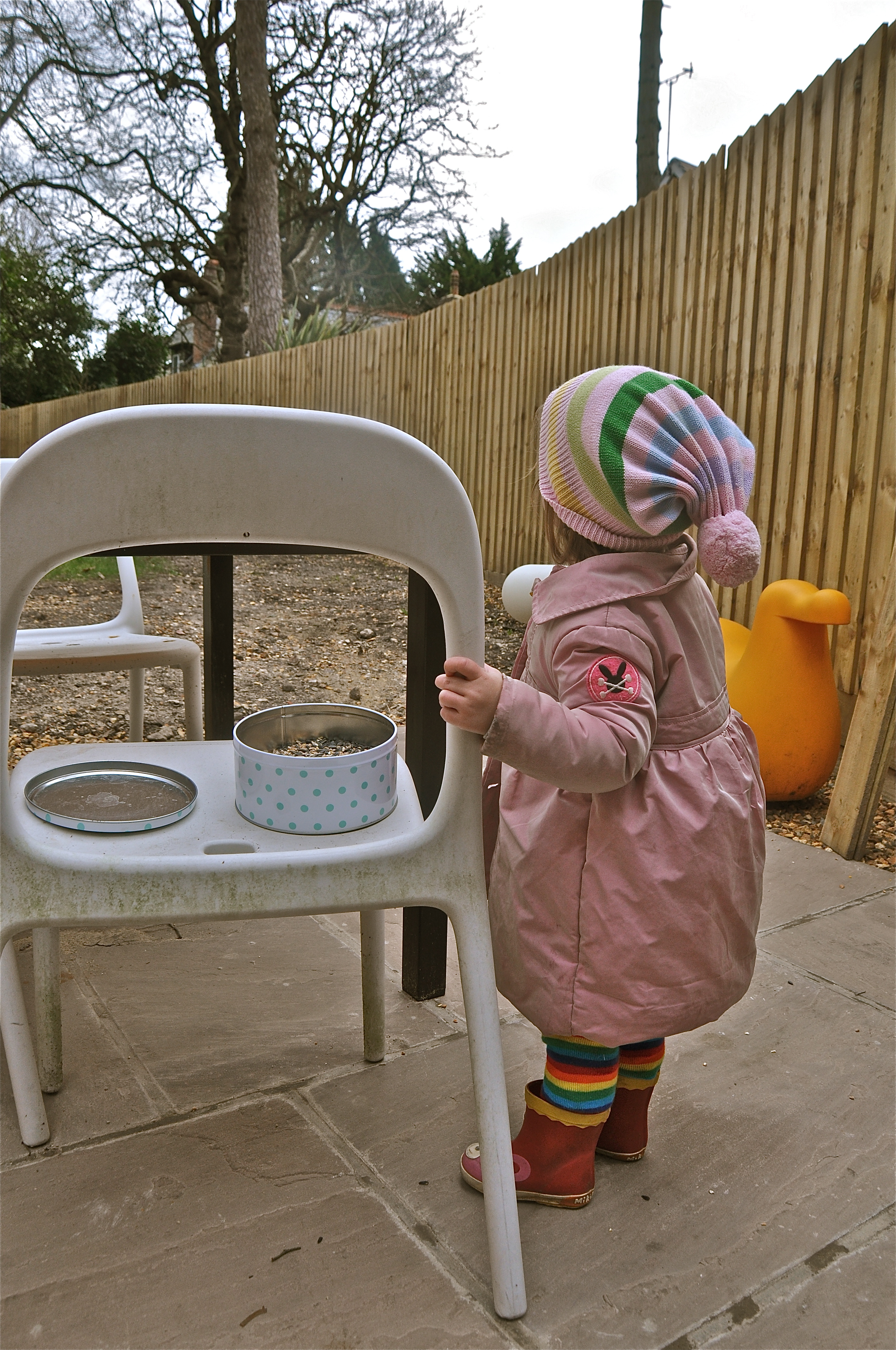 Kittytryingtofeedthebirds