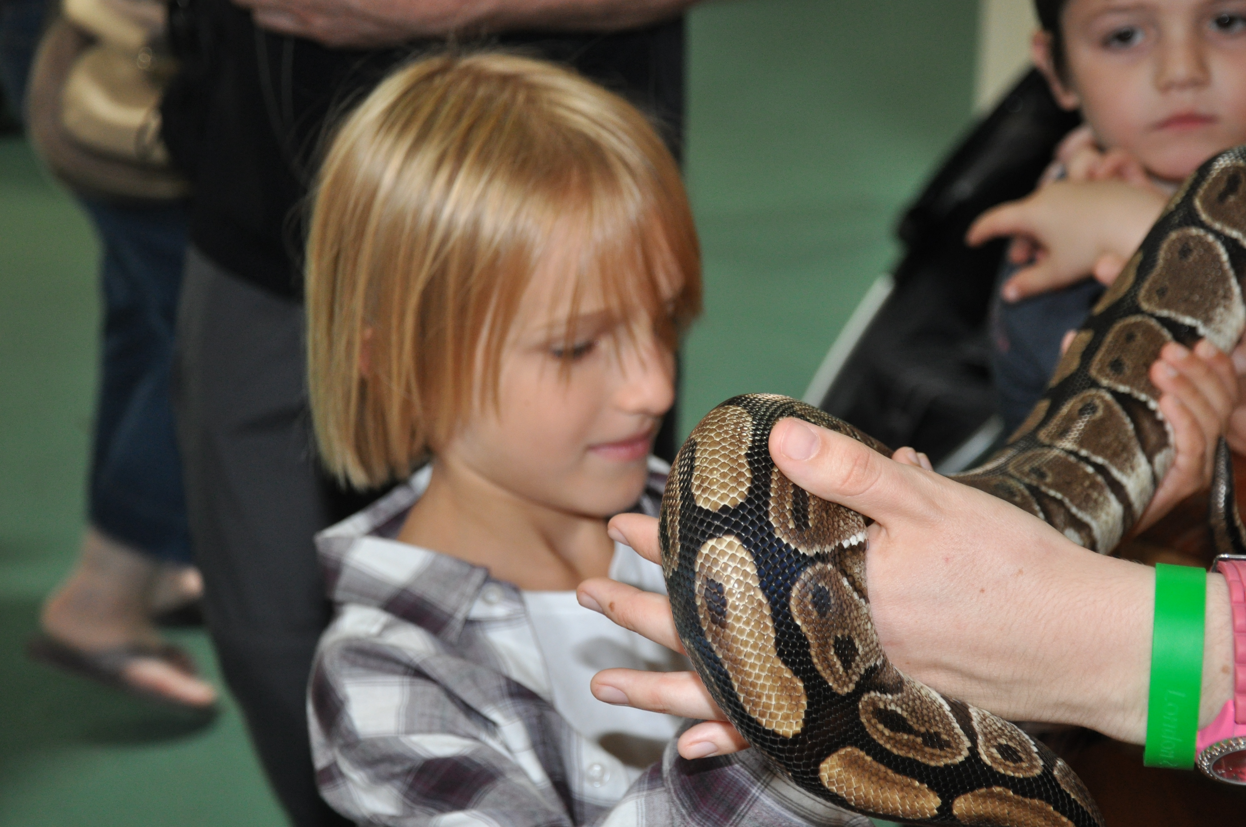 Satch-How-to-kiss-a-frog-Longleat