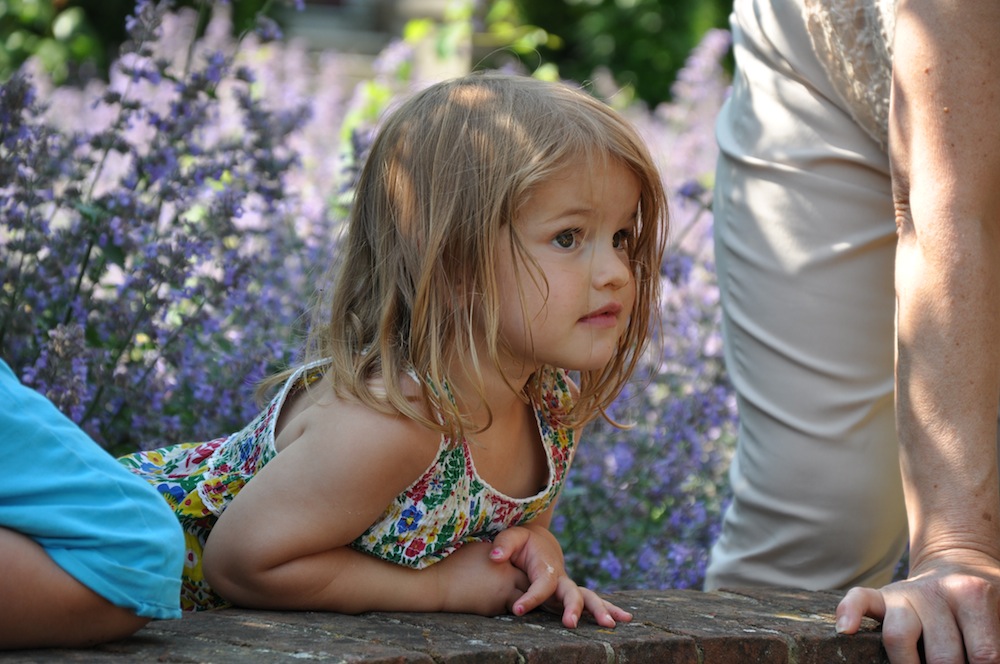 Kitty_ice_cream_stella_mccartney_dress