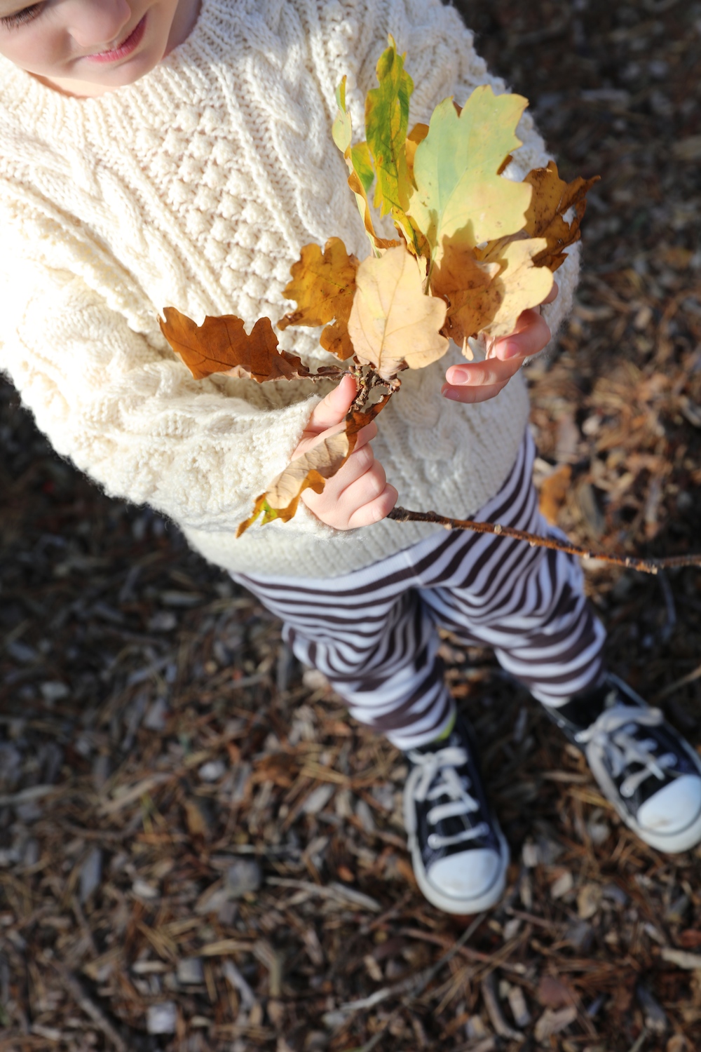 autumn_knit